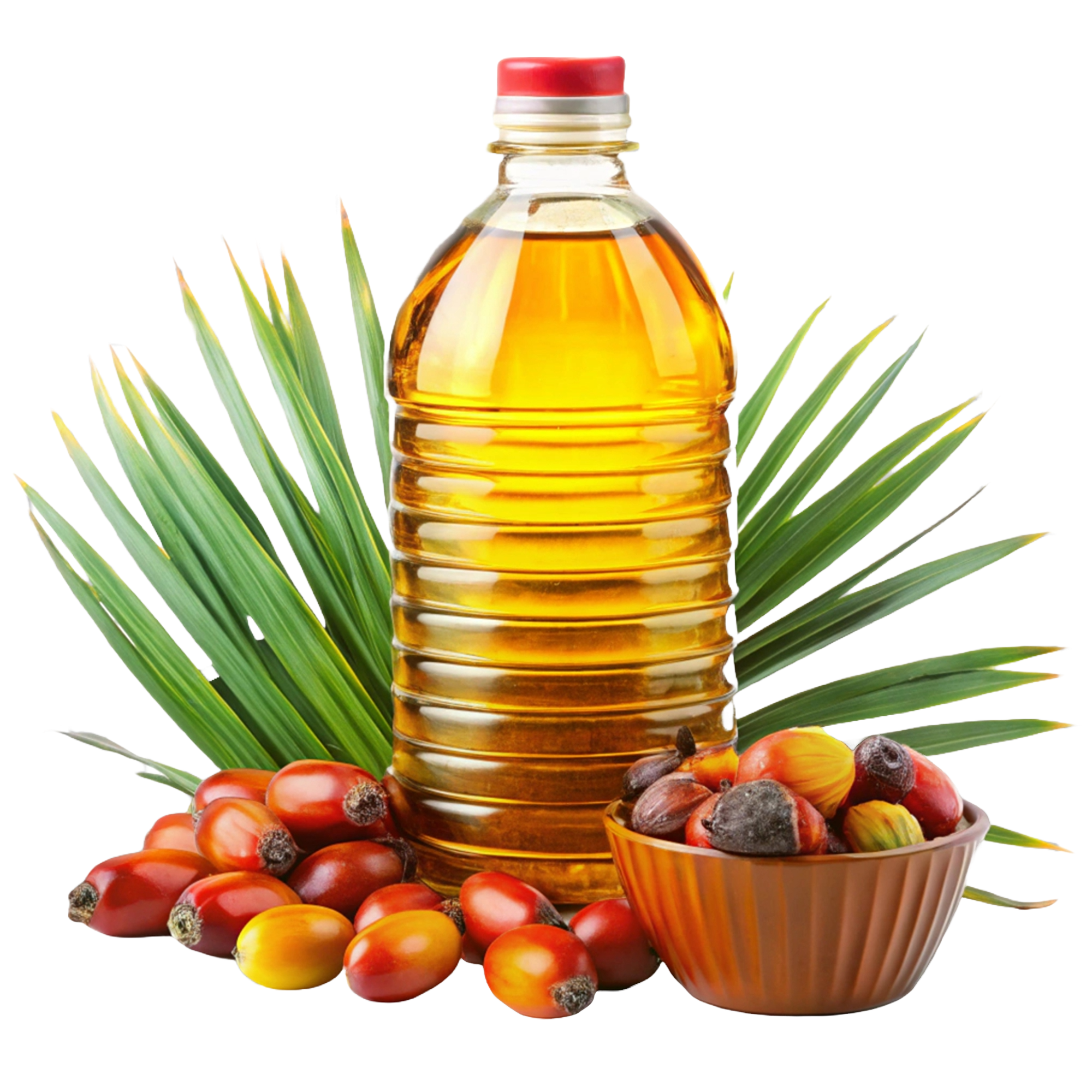 Palm Oil